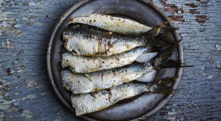 Eat more anchovies, herring and sardines to save the ocean’s fish stocks